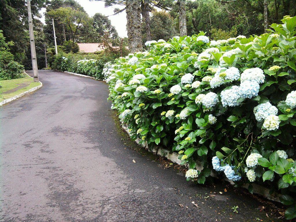 Chalé Vale do Bosque Villa Gramado Exterior foto